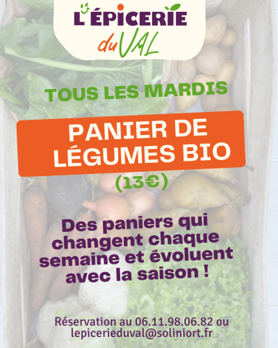 Panier de légumes (2)